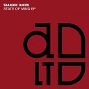Siamak Amidi - Dub Wise Original Mix
