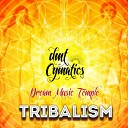 DMT Cymatics - Tribalism