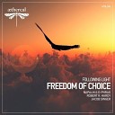 Following Light - Freedom Of Choice Robert R H