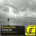 Monkey Fish - Hangover Original Mix