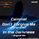 Cammel - In The Darkness Original Mix
