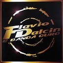 Fl vio Dalcin Banda Ouro feat Grupo Rodeio R gis… - A Gata Que Vale Ouro