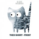 Theo Short - Frost Original Mix