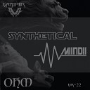 Synthetical MIINDII - OHM Original Mix
