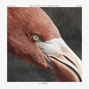 Erkka - Plastic Flamingos Radio Edit