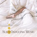 Deep Sleep Music Maestro - Cosmic Influence
