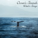 Ocean s Sounds - Whale s Songs Original Mix