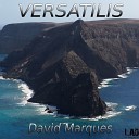 David Marques - Step by Step Original Mix
