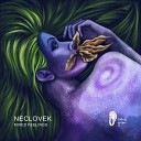 Neclovek - The Time Original Mix