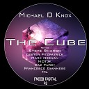 Michael D Knox - The Cube Steve Shaden Remix