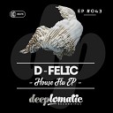 D felic - Mmmm Baby Original Mix