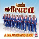 Banda Brava - El Gallo Negro