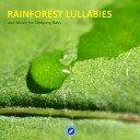 Rainforest Music Lullabies Ensemble - Above the Clouds with Rainforest Stream Soothing Bubbling Brooke and Piano Music for Deep…