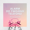 Wojciech Grabowski - Alarm w Telefonie