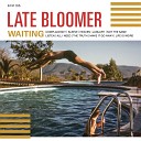 Late Bloomer - Life Is Weird