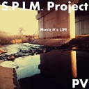 S P I M Project - P V A