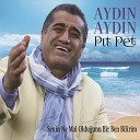 AYDIN AYDIN - P t Pet