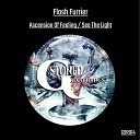 Flash Furrier - Ascension Of Feeling Original Mix