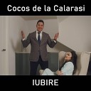 COCOS DE LA CALARASI - Iubire