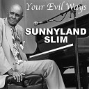 Sunnyland Slim - Shame On You Baby