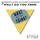 Norberto Acrisio aka Norbit Housemaster - Whatb Do You Think Original Mix