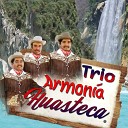 Trio Armonia Huasteca - Tepezintleco