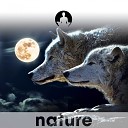 Nature s Harmony - Ode to the Wolf