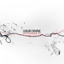 Liquid Divine - Sojourner Single Edit