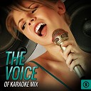 Vee Sing Zone - Why I Love You So Much Karaoke Version