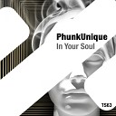 PhunkUnique - In Your Soul