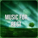 Rest Super Music Ensemble - A Time for Relaxation