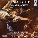 Christophe Coin Chantres de la Chapelle Ensemble Baroque de… - Coeli enarrant VI Gloria Patri