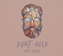 Cris Jacobs - Turn Into Gold Album