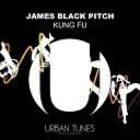James Black Pitch - Kung Fu Radio Mix