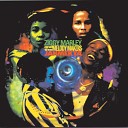 Ziggy Marley And The Melody Makers - Raw Riddim