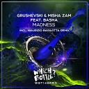 Grushevski Misha ZAM feat BASHA - Madness Radio Edit