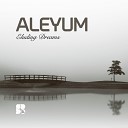 Aleyum - Glowing Memories Original Mix