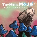 TryMore MOJO - Way Found Interlude 2
