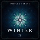 SLAVA NL Middle D - Winter Original Mix