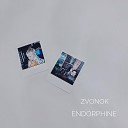 ZVONOK - Endorphine