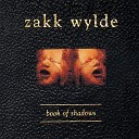 Zakk Wylde - The Things You Do