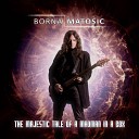 Borna Matosic - The Majestic Tale Of A Madman In A Box From Doctor Who Electric Guitar…