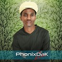 PhonixDaK - Nature Original Mix