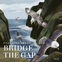 Yuri Rhodenborgh Redbourg Group - Bridge the Gap