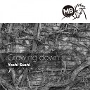 Yoshi Sushi - Growing Down Original Mix
