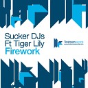 Sucker DJs feat Tiger Lily - Firework MK MTV Remix