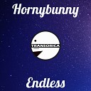 Hornybunny - Angel Original Mix