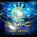 Sonic Entity - In Vitro Original Mix