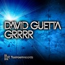 David Guetta - GRRRR Original Club Mix