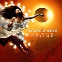 Nature of Wires - Human Nature People Theatre s Skeleton Remix